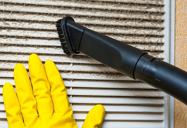 Best Dryer Vent Cleaning Services  in Cherokee Village, AR